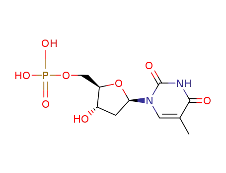 thymidine 5'-phosphate