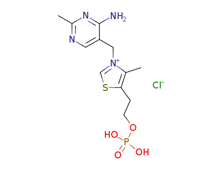 thiamine monophosphate chloride